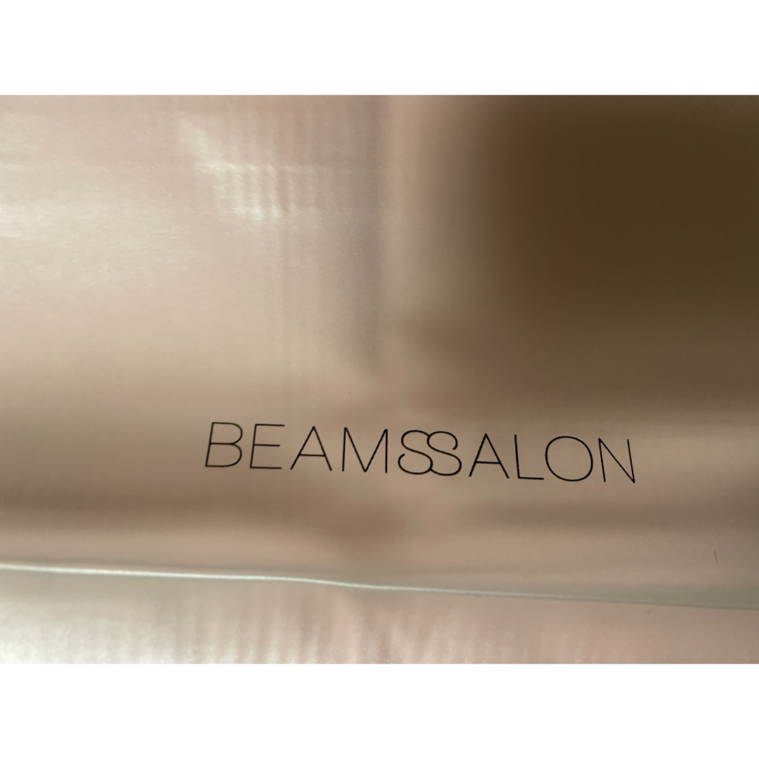 BEAMS(ビームス)のR1:BEAMSSALON 保冷付きトートケースセット レディースのバッグ(トートバッグ)の商品写真