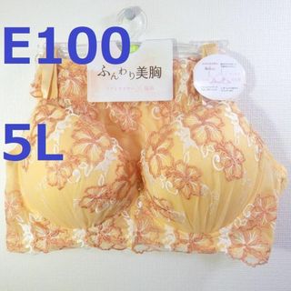 【E100/5L】ブラ・ショーツセット★2点以上で各200円引★112802 1(ブラ&ショーツセット)