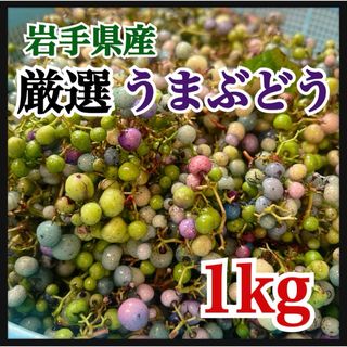 岩手県産 1kg 馬ぶどう うまぶどう　冷凍クール便(野菜)