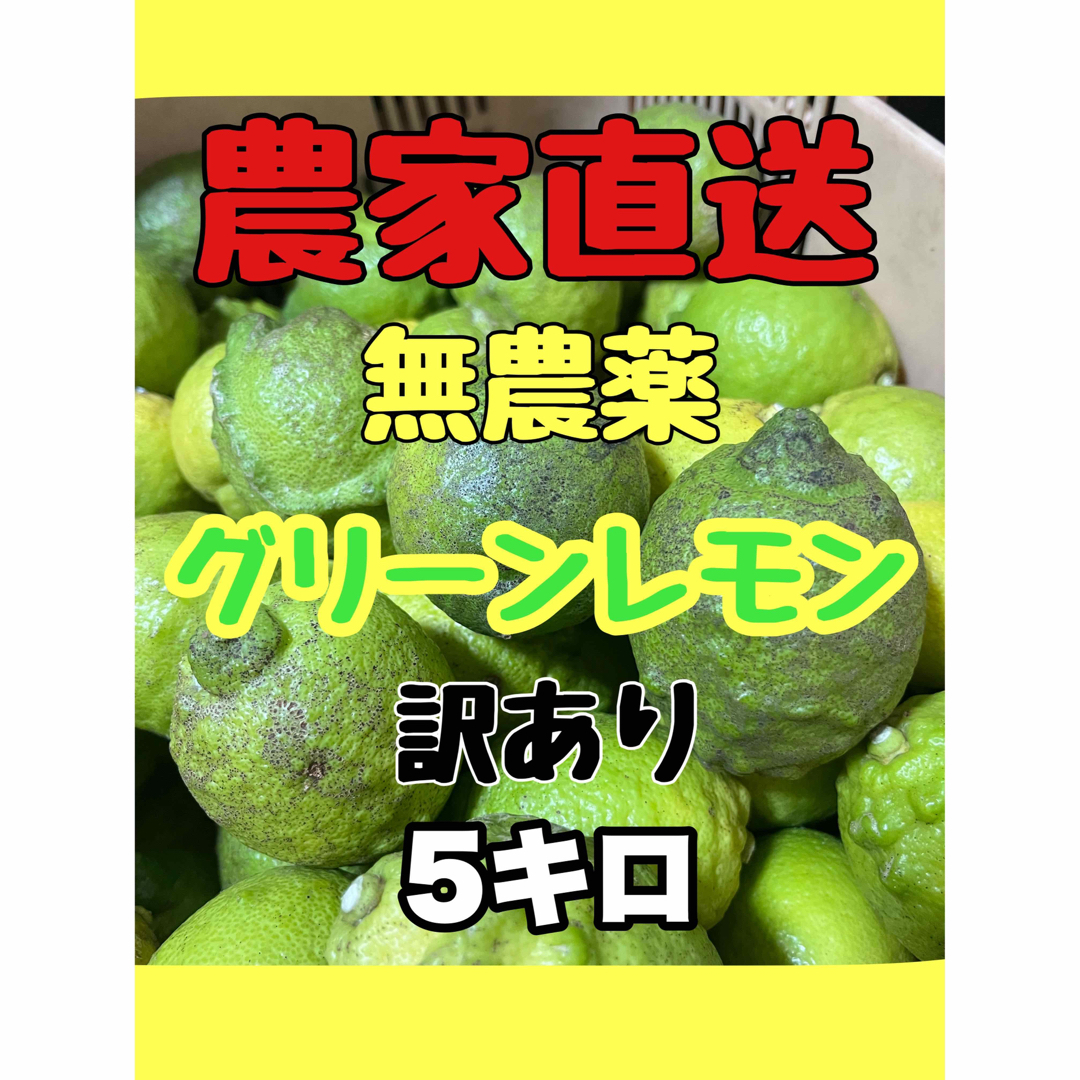 瀬戸内レモン　無農薬　5キロ　訳あり　農家直送　グリーンレモン　国産レモン 食品/飲料/酒の食品(フルーツ)の商品写真