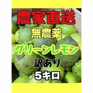 瀬戸内レモン　無農薬　5キロ　訳あり　農家直送　グリーンレモン　国産レモン(フルーツ)