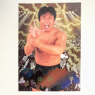 山田学 パンクラス BBMプロレスカード(格闘技/プロレス)