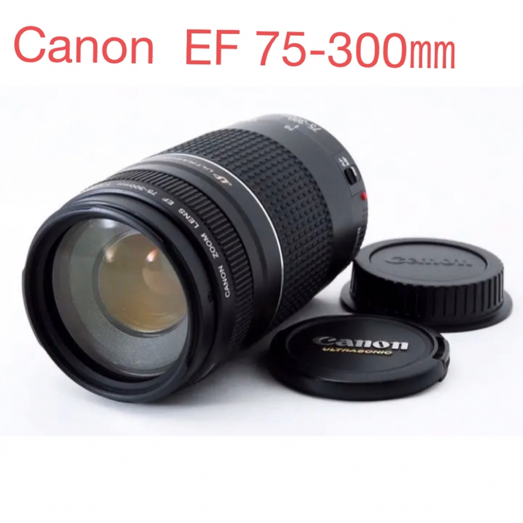 超望遠レンズ☆フード付☆美品☆キャノン Canon EF75-300㎜