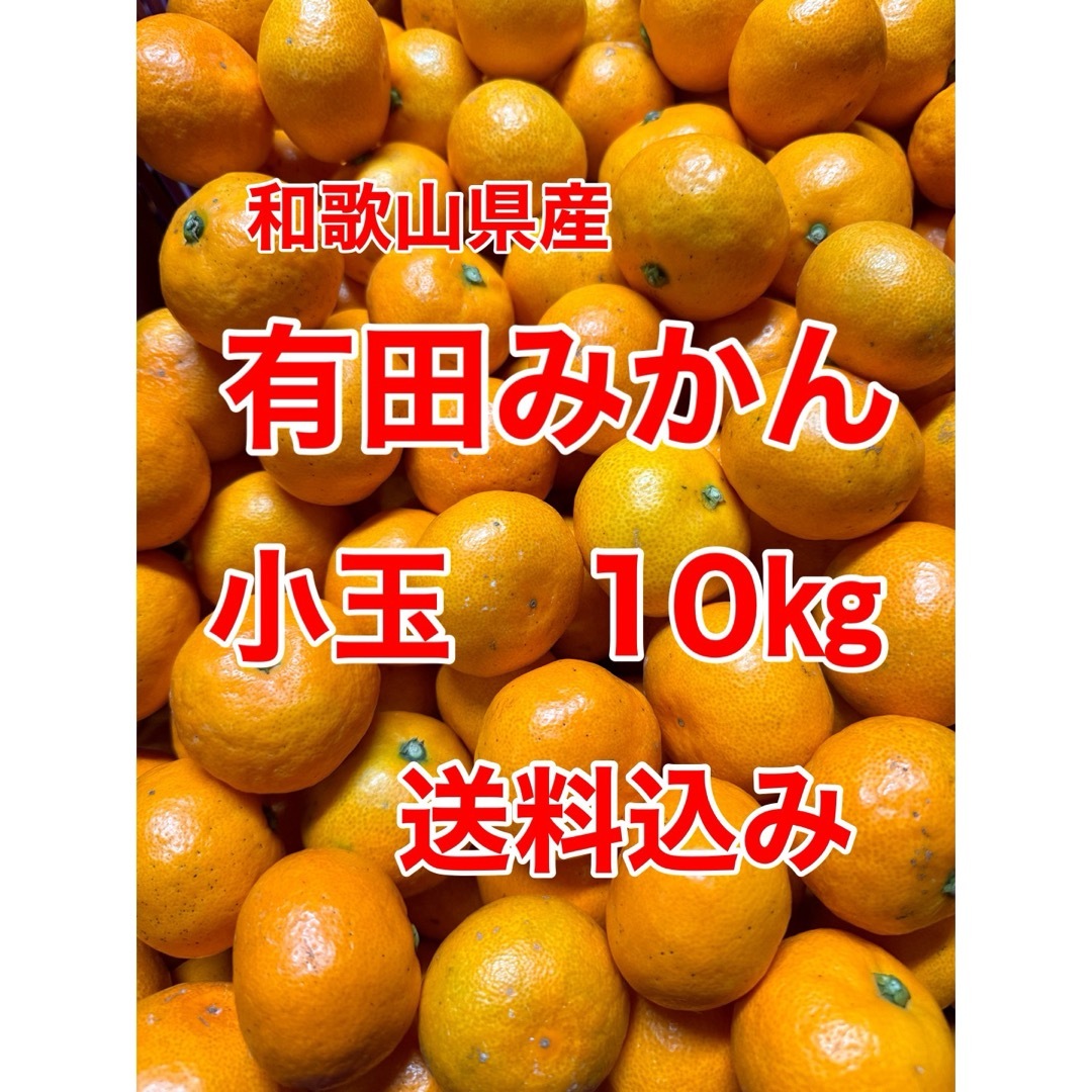 有田みかん(アリダミカン)の和歌山県産　有田みかん　小玉　家庭用　10㎏　送料込み 食品/飲料/酒の食品(フルーツ)の商品写真