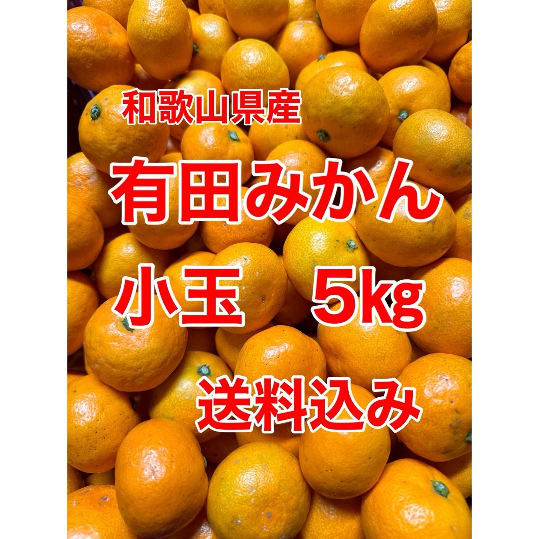 有田みかん(アリダミカン)の和歌山県産　有田みかん　小玉　5㎏　家庭用　送料込み 食品/飲料/酒の食品(フルーツ)の商品写真