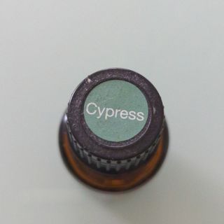 ドテラ(doTERRA)のドテラ　アロマオイル　サイプレス １５ml(アロマオイル)