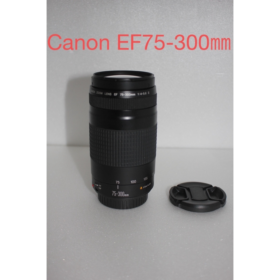 ⭐︎望遠レンズ⭐︎ キャノン Canon EF75-300㎜ カメラ ⭐︎望遠レンズ⭐︎ キャノン Canon EF75-300㎜ カメラ
