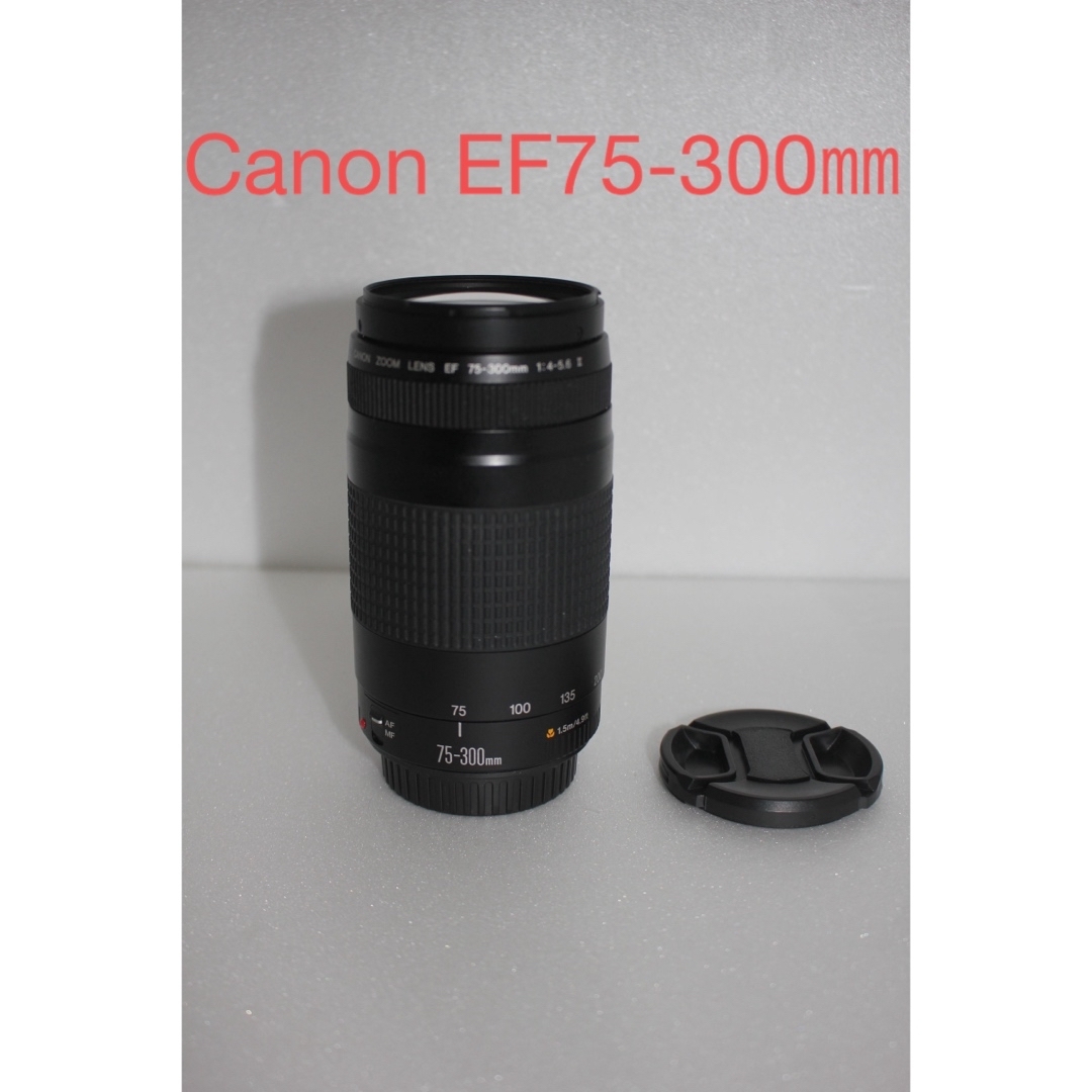 安心の日本製 ⭐︎望遠レンズ⭐︎ III- EF75-300 キャノン Canon Canon ...