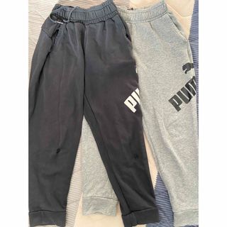 プーマ(PUMA)の専用(パンツ/スパッツ)