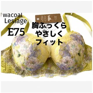 ワコール(Wacoal)の【新品タグ付】ワコール・胸ふっくら、やさしくフィットE75（定価¥6,490）(ブラ)