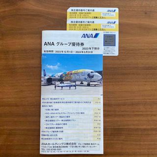 エーエヌエー(ゼンニッポンクウユ)(ANA(全日本空輸))のANA  株主優待券2枚　冊子1冊(その他)