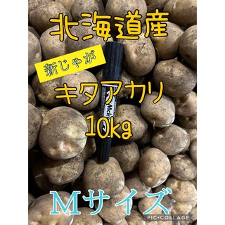 北海道産じゃがいもキタアカリ10kg(野菜)