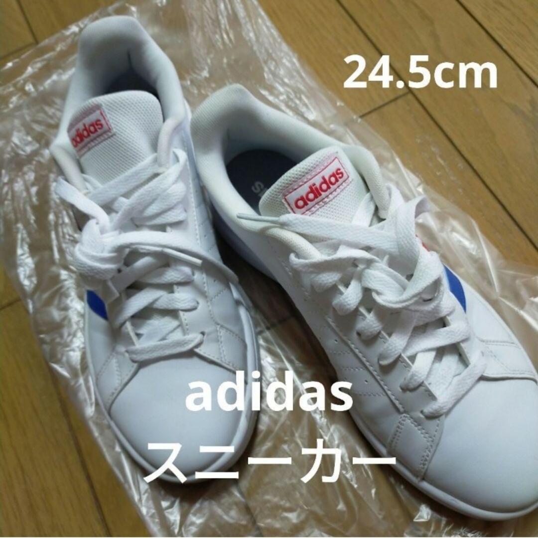 adidas(アディダス)のadidas スニーカー 状態良好 ホワイト 24.5cm 青 赤 レディースの靴/シューズ(スニーカー)の商品写真