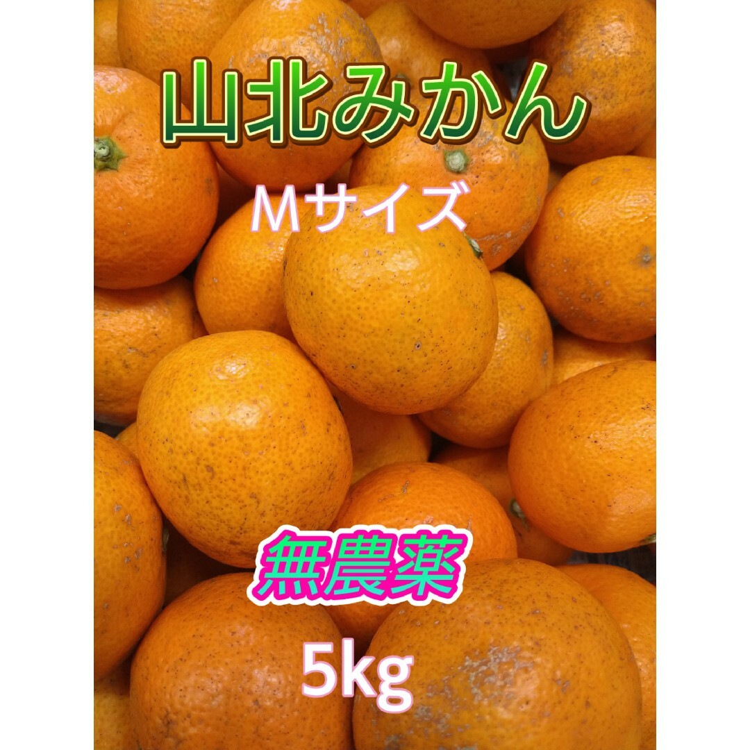 山北みかん 無農薬 Mサイズ 5㎏ 高知県産 食品/飲料/酒の食品(フルーツ)の商品写真