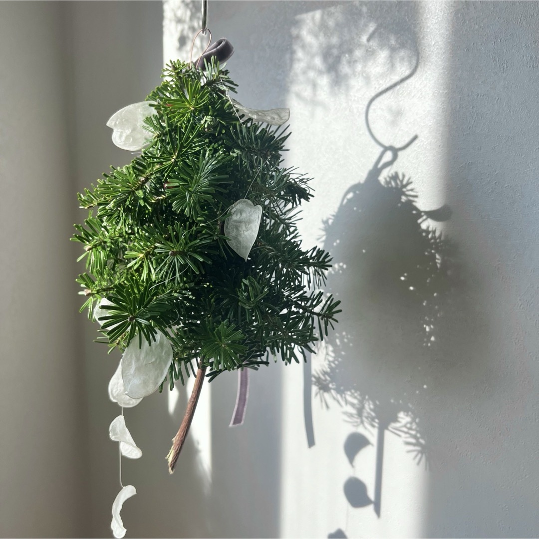 フライングツリー(もみの木) / ドライフラワー　スワッグ　クリスマス