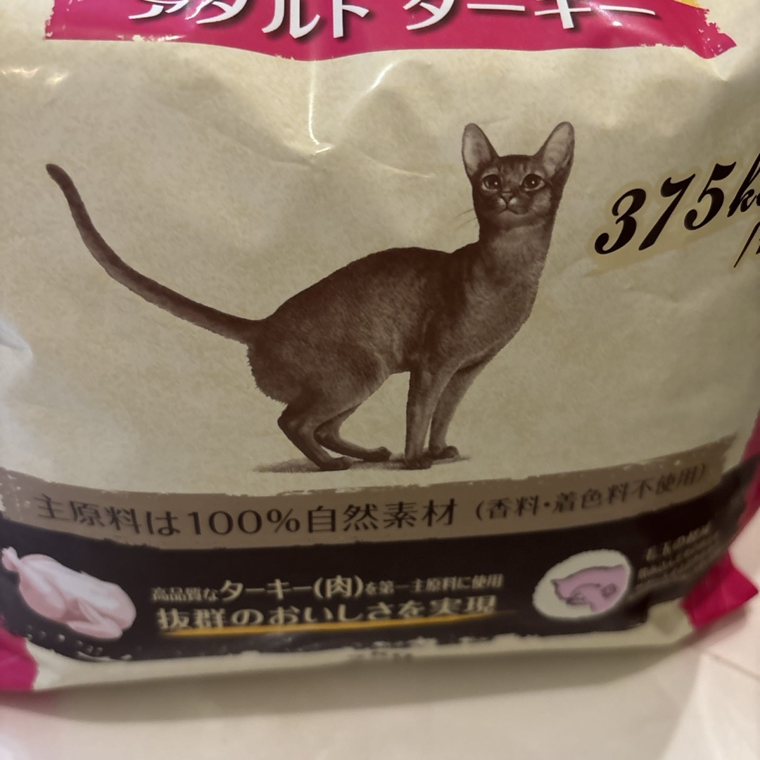 猫　水フィルター　&  キャットフード　ニュートロ　& ペットブラシ手袋 エンタメ/ホビーのエンタメ その他(その他)の商品写真