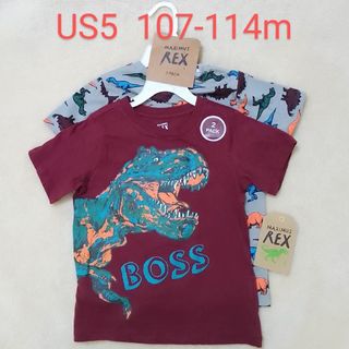 【新品】REX 恐竜Tシャツ  2枚セット  US5  107-114cm(Tシャツ/カットソー)