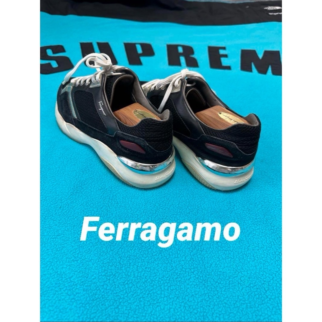 Salvatore Ferragamo(サルヴァトーレフェラガモ)の✨美品・人気色✨Ferragamo フェラガモ スニーカー メンズの靴/シューズ(スニーカー)の商品写真