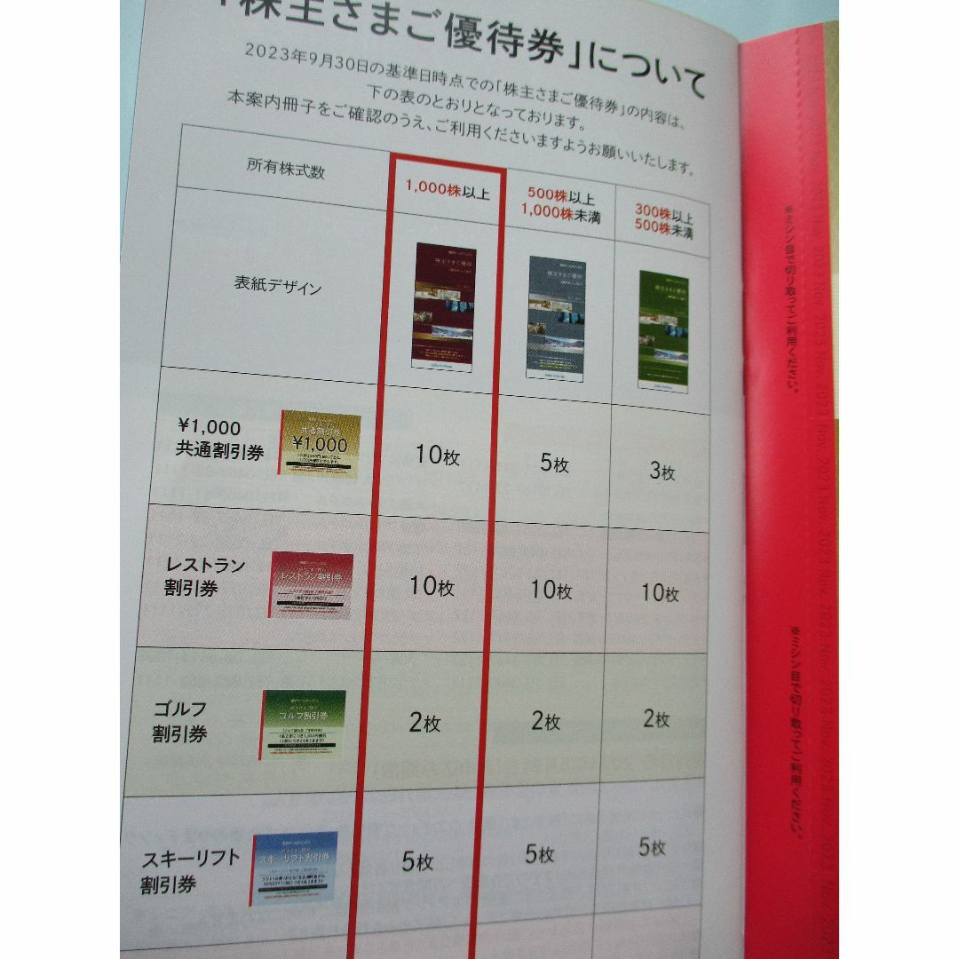 人気の激安販壳 最新 ★西武ホールディングス ★株主優待券冊子(1000株株主）