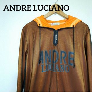 アンドレルチアーノ(ANDRE LUCIANO)の美品　アンドレルチアーノ　ハーフジップパーカー　メッシュ　Lサイズ相当(パーカー)