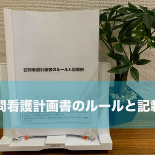 訪問看護計画書のルールと記載例(語学/参考書)