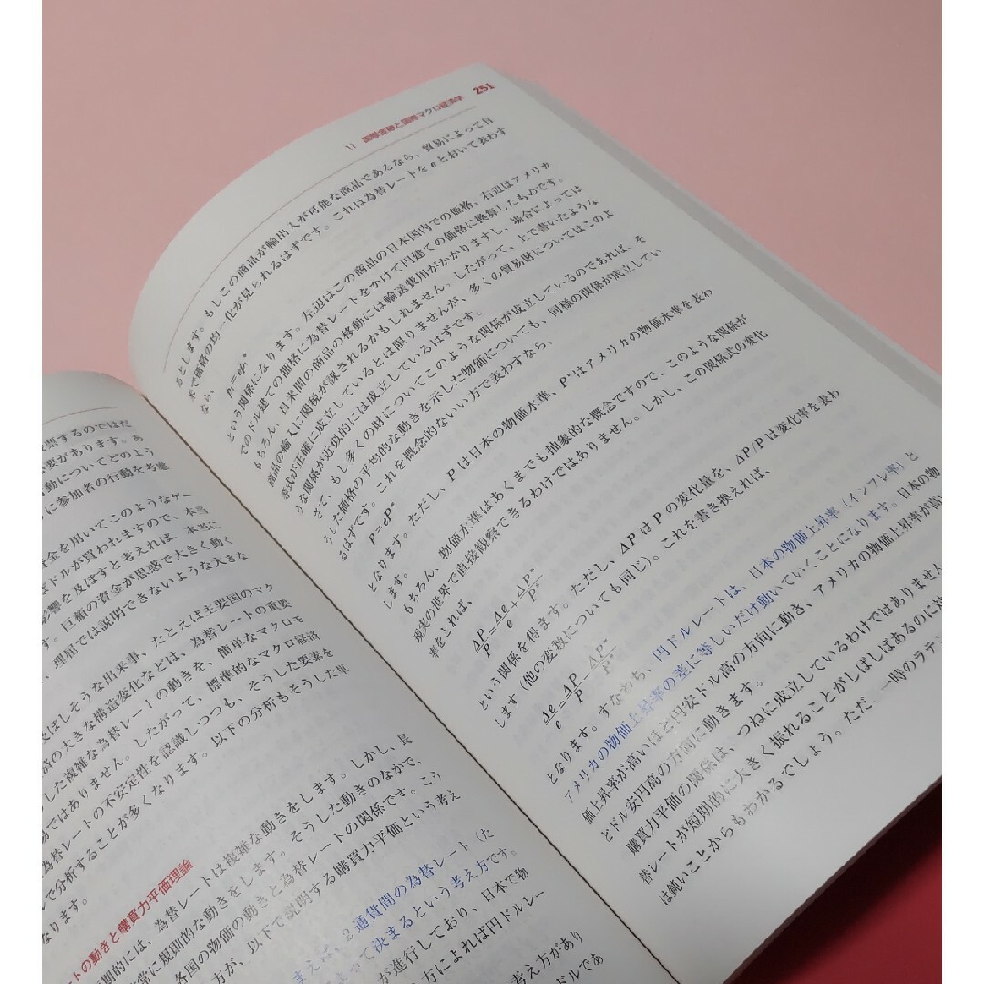 入門 | 経済学 エンタメ/ホビーの本(ビジネス/経済)の商品写真