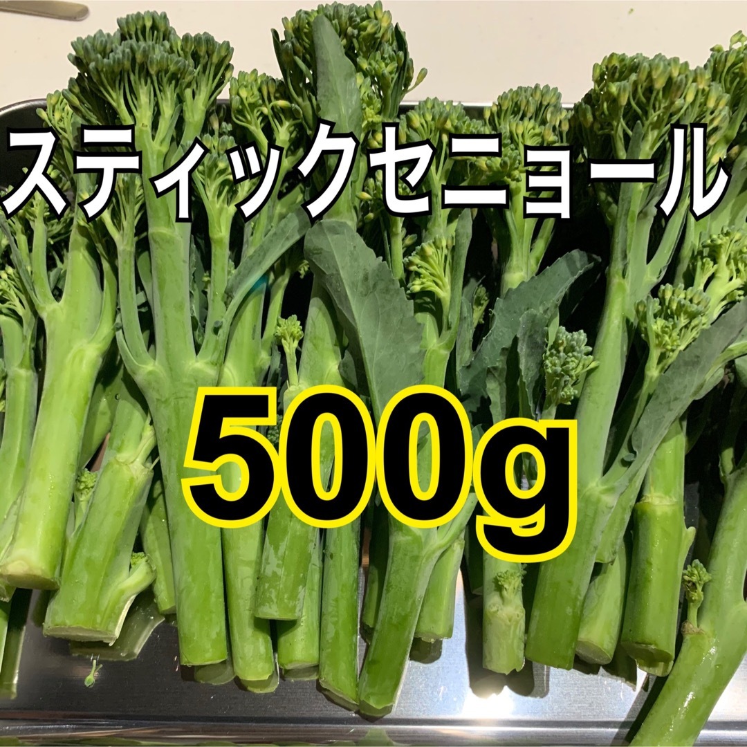スティックセニョール 500g 食品/飲料/酒の食品(野菜)の商品写真