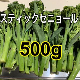 スティックセニョール　500g(野菜)