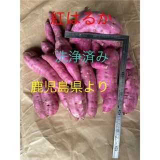 さつまいも　紅はるか　10キロ　　　　　　　　　　　　　　　　鹿児島産(野菜)