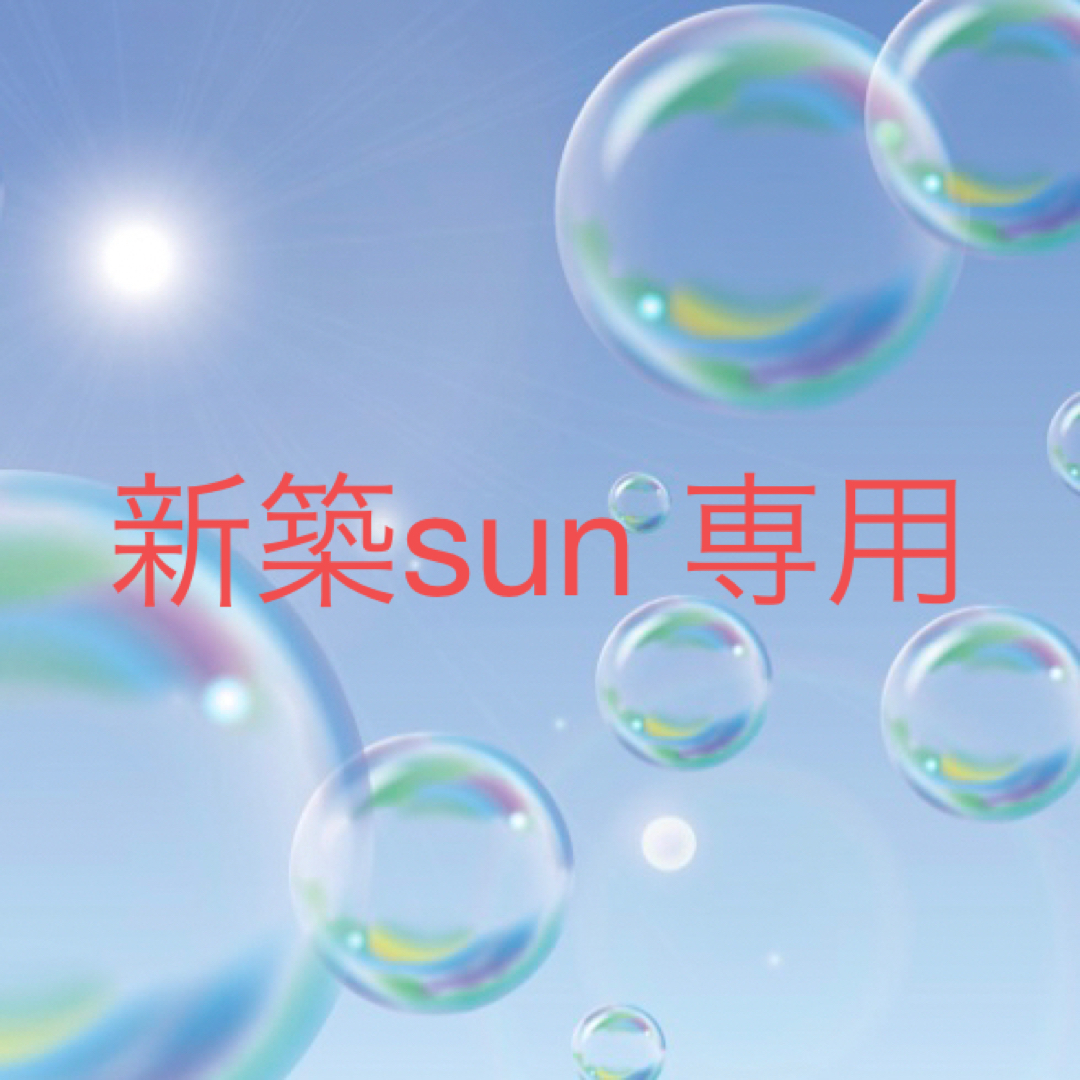 新築sun専用 ハンドメイドのキッズ/ベビー(外出用品)の商品写真