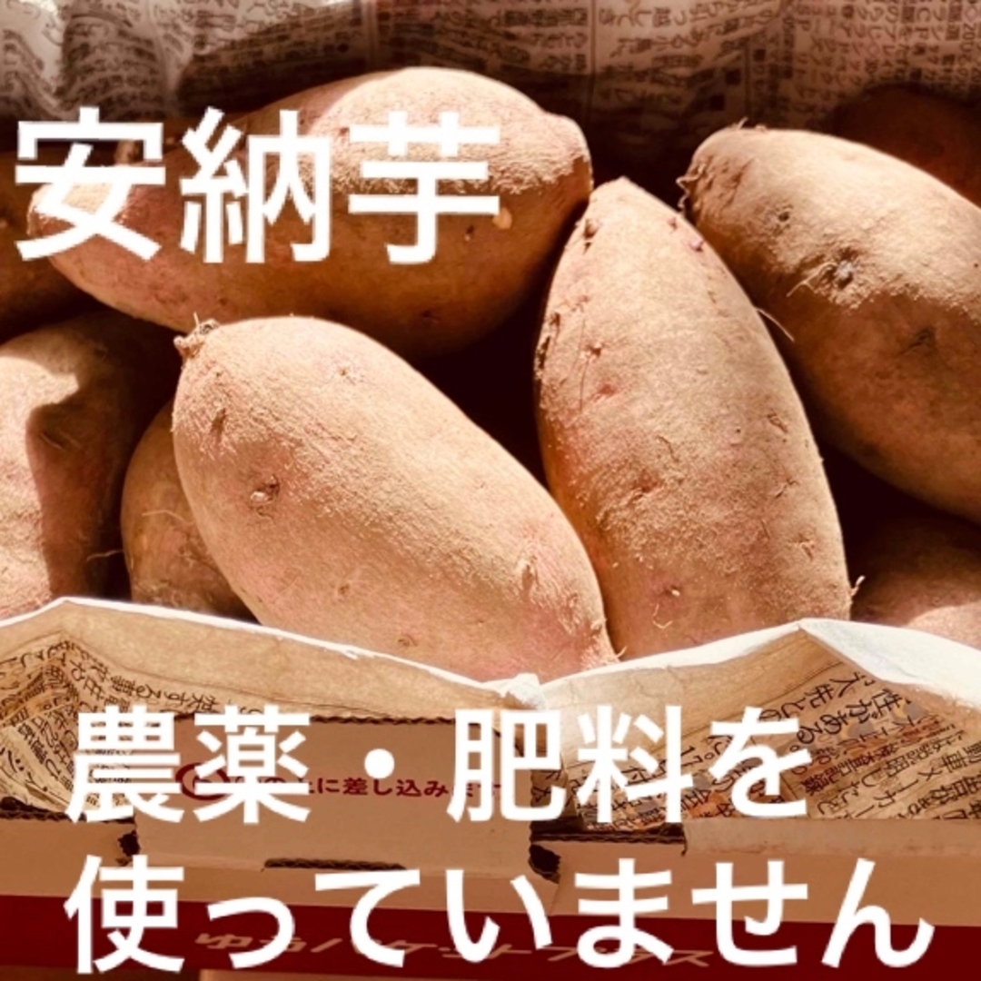 さつまいも　安納芋　農薬・肥料を使っていません(自然栽培) 食品/飲料/酒の食品(野菜)の商品写真