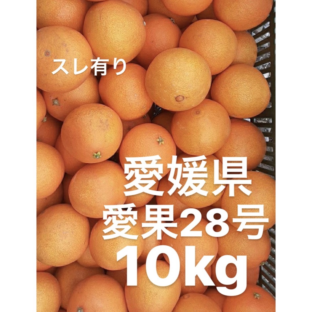 愛媛県産 家庭用 愛果28号 柑橘 10kgの通販 by sari's shop｜ラクマ