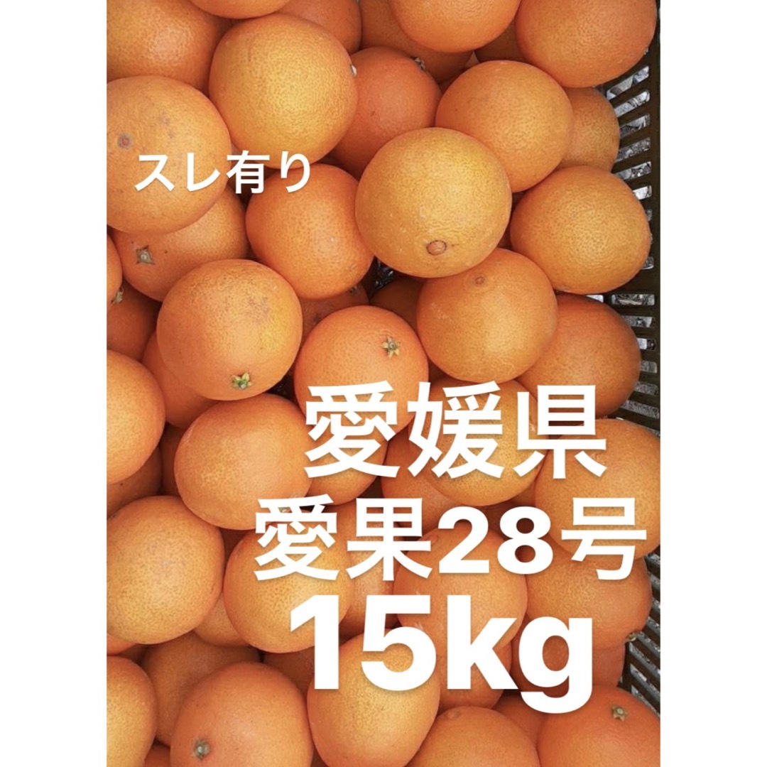 愛媛県産　家庭用　愛果28号　柑橘　15kgフルーツ