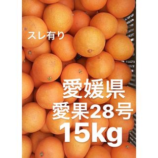 愛媛県産　家庭用　愛果28号　柑橘　15kg(フルーツ)