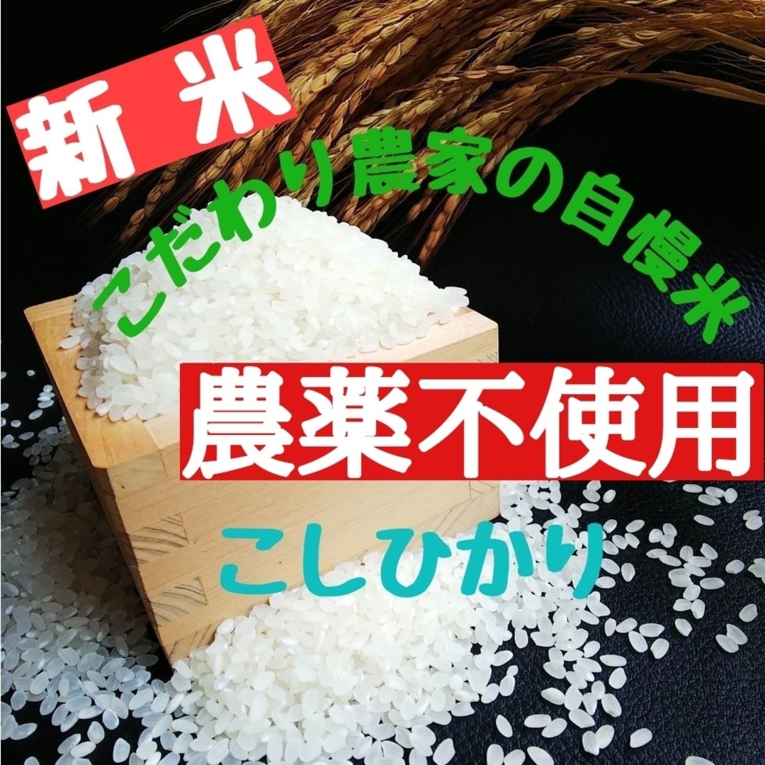 お米マイスター's　令和5年産の通販　by　白米1.6㎏(無農薬栽培)　こだわり農家の自慢米　shop｜ラクマ