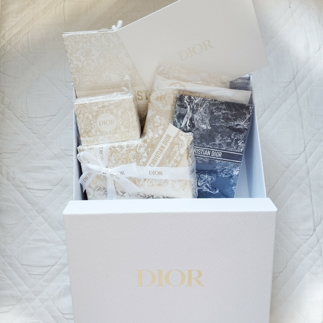 Dior(ディオール)の【新品未使用】Diorクリスマスオファー＋ホリデーグッズ レディースのファッション小物(ポーチ)の商品写真