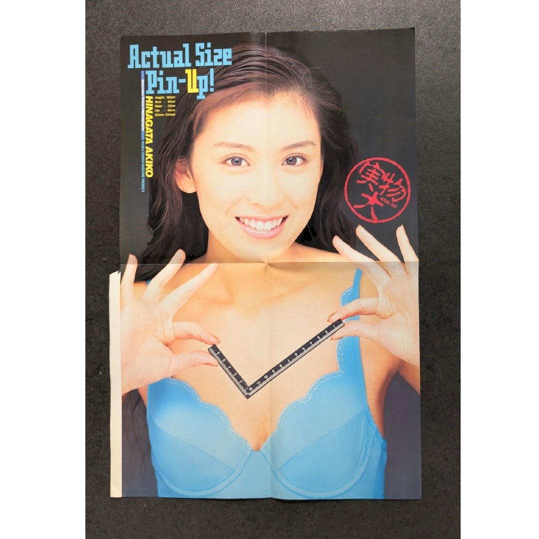 雛形あきこ　ポスター　1997年カレンダー　雑誌の付録 エンタメ/ホビーのアニメグッズ(ポスター)の商品写真