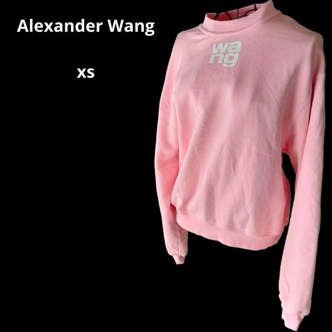 Alexander Wang - alexander wang アレキサンダーワン ロゴ スウェット