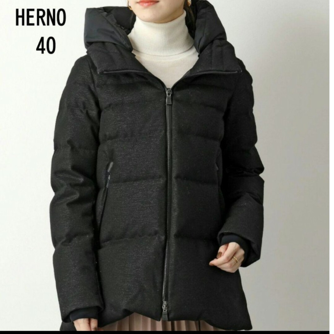 HERNO(ヘルノ)の美品】ヘルノ　ダウン　レディース　40 レディースのジャケット/アウター(ダウンコート)の商品写真