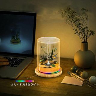 観賞用にも❤️卓上水槽 アクアリウム　エアーポンプ一体型ミニアクアリウム (アクアリウム)
