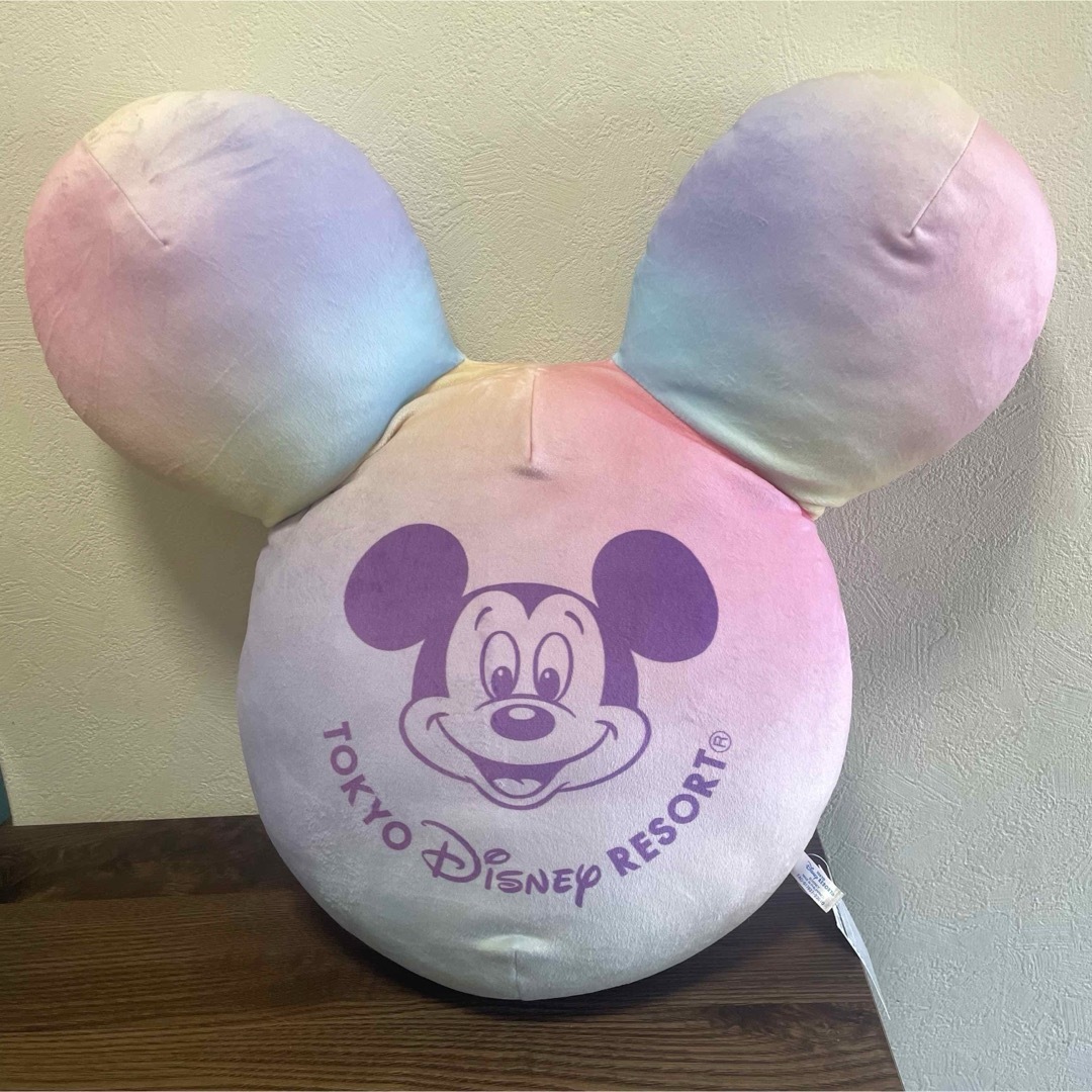 Disney(ディズニー)の40周年 Dream Go Round バルーンクッション　オーロラカラー インテリア/住まい/日用品のインテリア小物(クッション)の商品写真