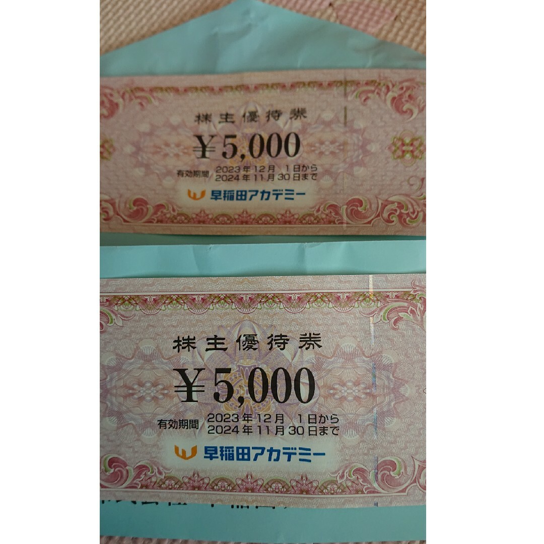 早稲田アカデミー 株主優待券 チケットの優待券/割引券(その他)の商品写真