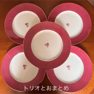 リチャードジノリ(Richard Ginori)の【美品】リチャードジノリ★インペロカメリア★おまとめセット(食器)