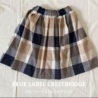 ブルーレーベルクレストブリッジ(BLUE LABEL CRESTBRIDGE)のブルーレーベルクレストブリッジ チェックスカート(ミニスカート)