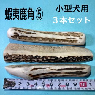 鹿の角　犬用品　小型犬用3本(犬)