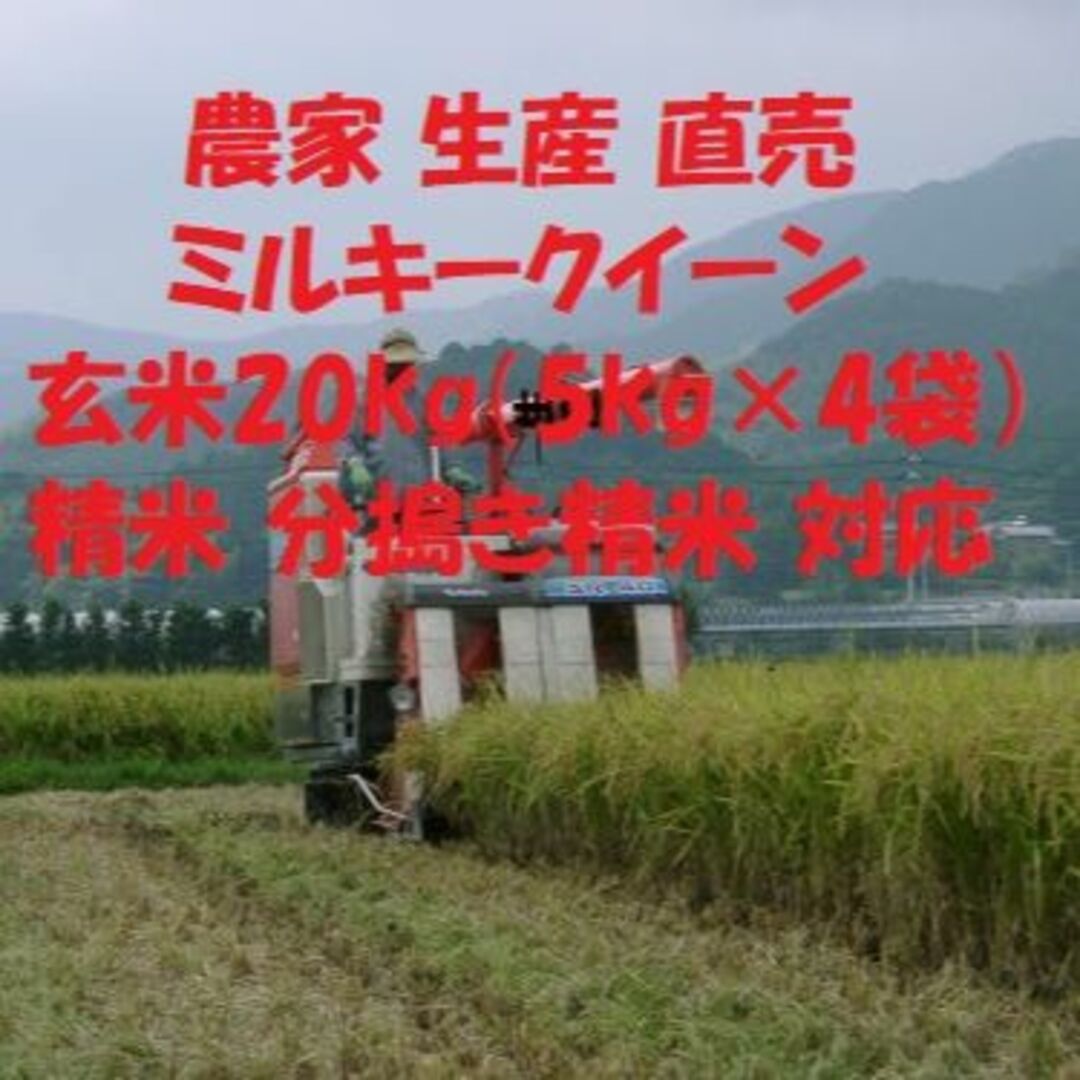 玄米20kg（5kg×4袋）令和５年産新米ミルキークイーン　精米・分搗き精米対応 食品/飲料/酒の食品(米/穀物)の商品写真