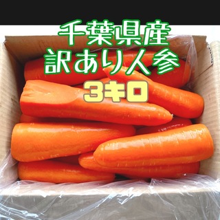 千葉県産　訳あり人参　3キロ(野菜)