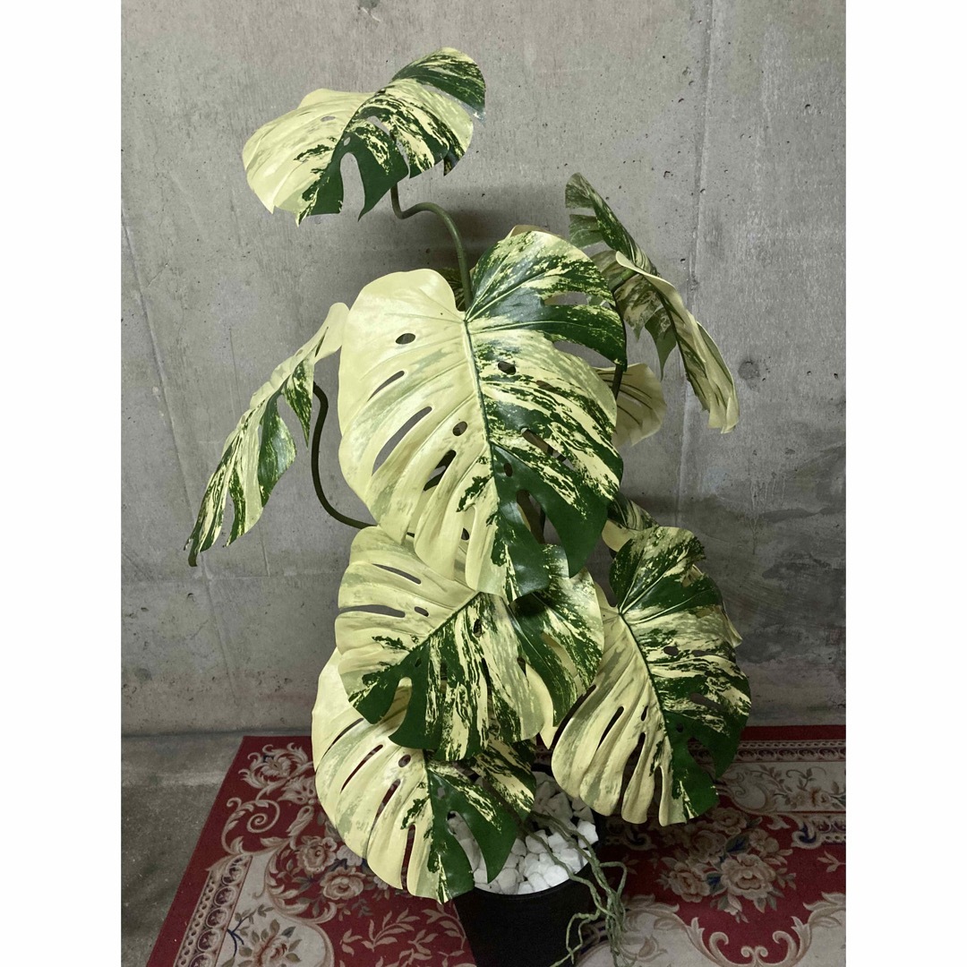 光触媒 人工観葉植物 フェイクグリーン 斑入りモンステラバリエ 光触媒 人工観葉植物 フェイクグリーン 斑入りモンステラバリエ