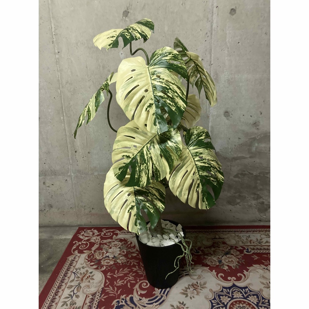 光触媒 人工観葉植物 フェイクグリーン 斑入りモンステラバリエ 光触媒 人工観葉植物 フェイクグリーン 斑入りモンステラバリエ