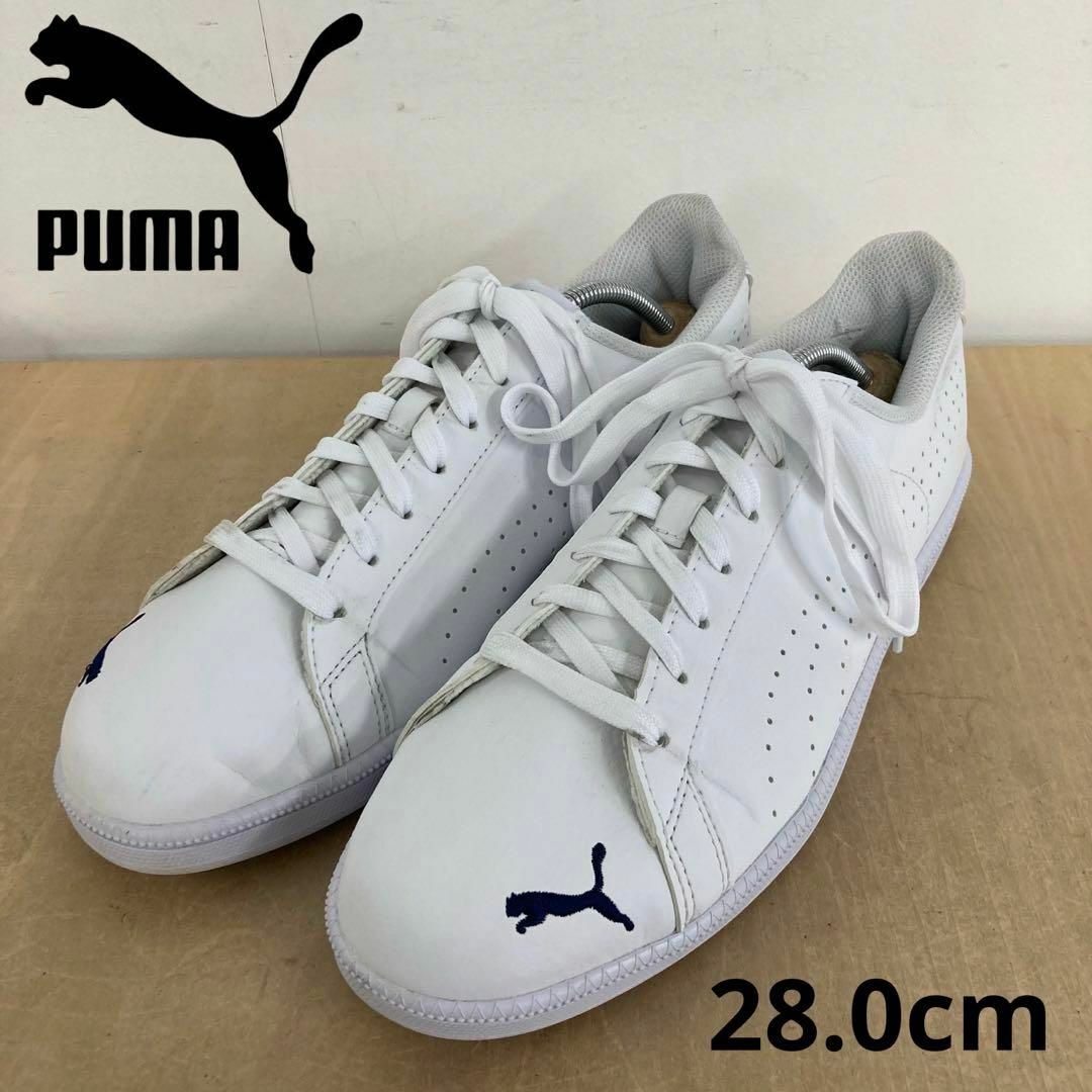 PUMA(プーマ)のPUMA Smash Cat Purf FS SL 28.0cm メンズの靴/シューズ(スニーカー)の商品写真